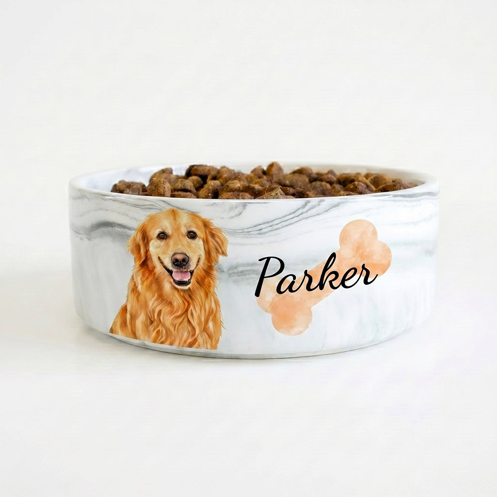 Custom Pet Bowl- Cat & Dog