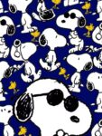 Snoopy 14