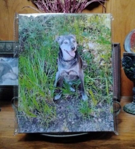 Custom Canvas Prints with Your Photos photo review