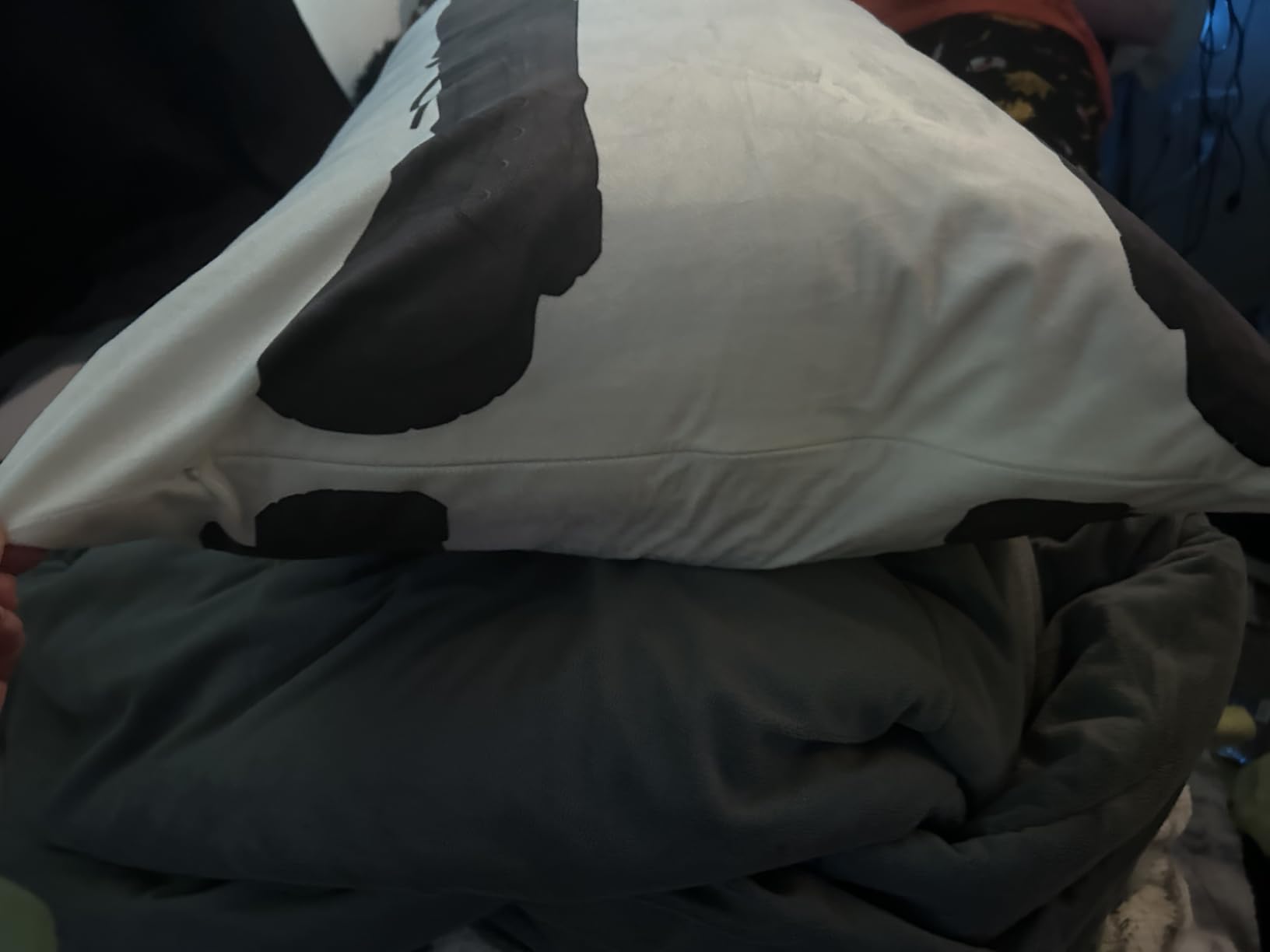 Custom Throw Pillow Cover photo review