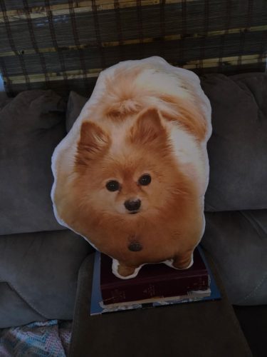 Custom Shaped Face Pillow photo review