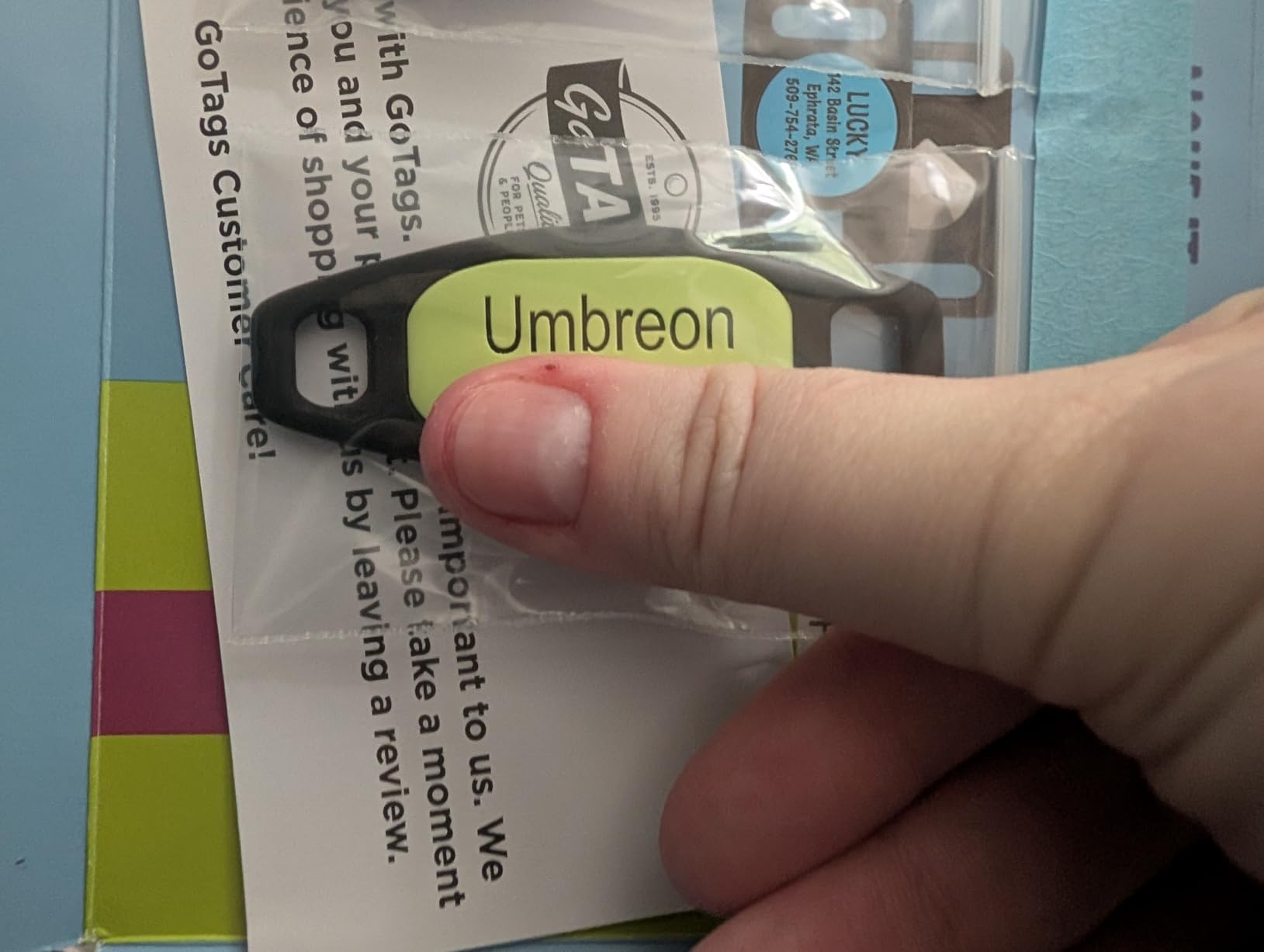 Personalized Engraved Silicone and Cat Name Pet ID Tags photo review