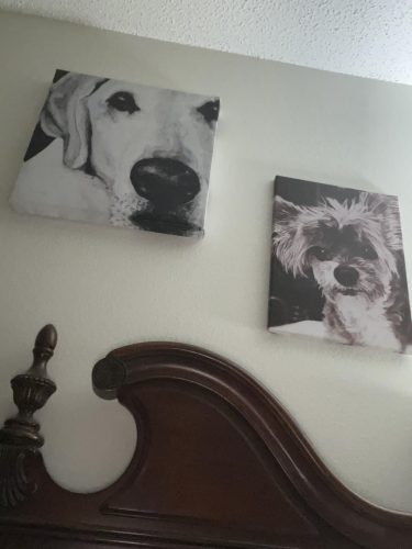 Custom Canvas Prints with Your Photos photo review