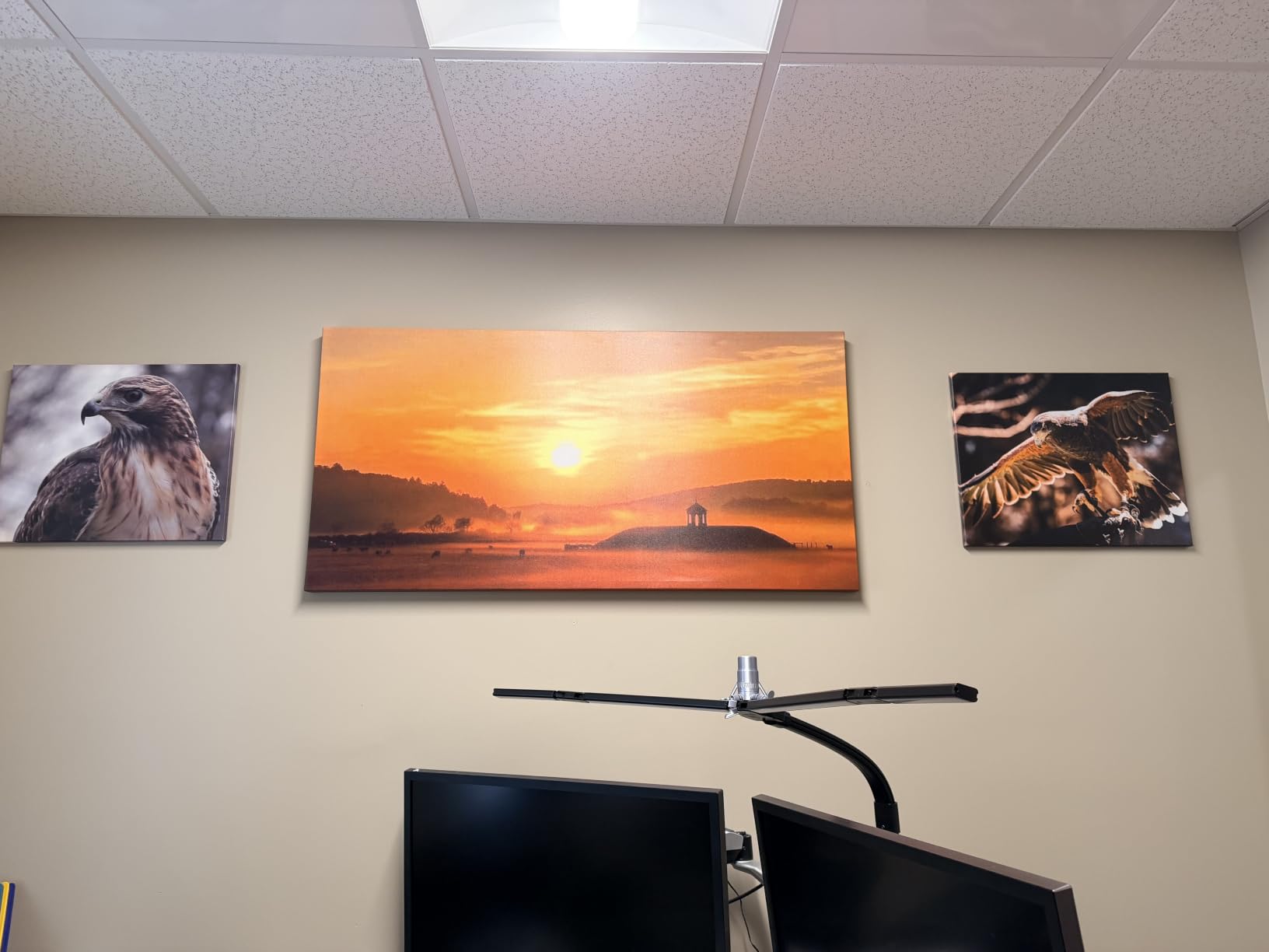 Custom Canvas Prints with Your Photos photo review