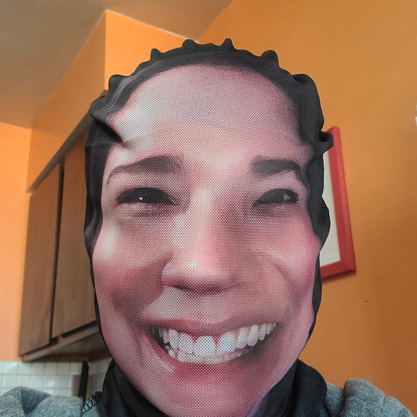 Custom 3D Printed Face Mask photo review