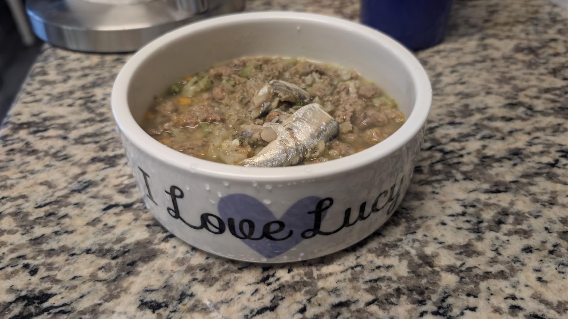 Custom Pet Bowl- Cat & Dog photo review