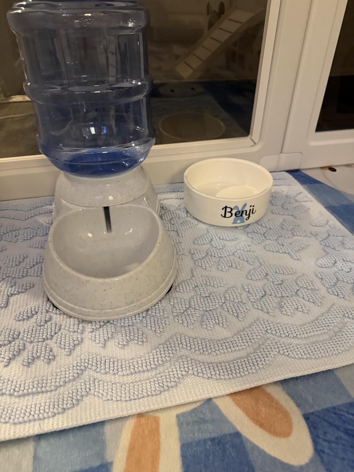 Custom Pet Bowl- Cat & Dog photo review