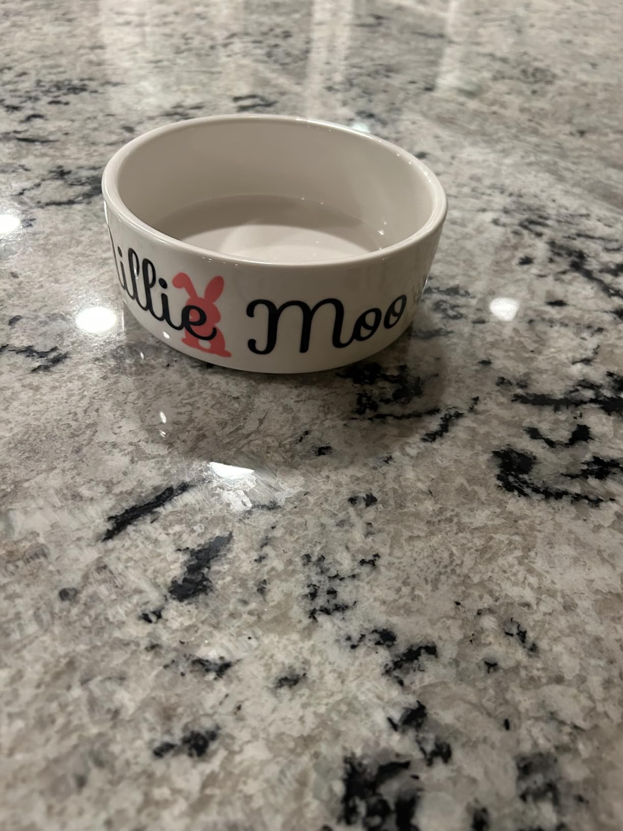 Custom Pet Bowl- Cat & Dog photo review