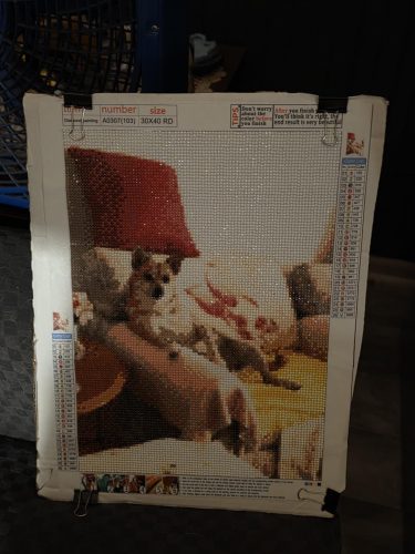 Custom 5D DIY Diamond Art Painting photo review