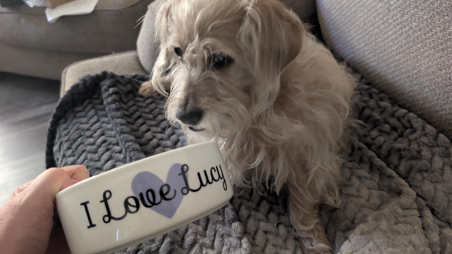 Custom Pet Bowl- Cat & Dog photo review