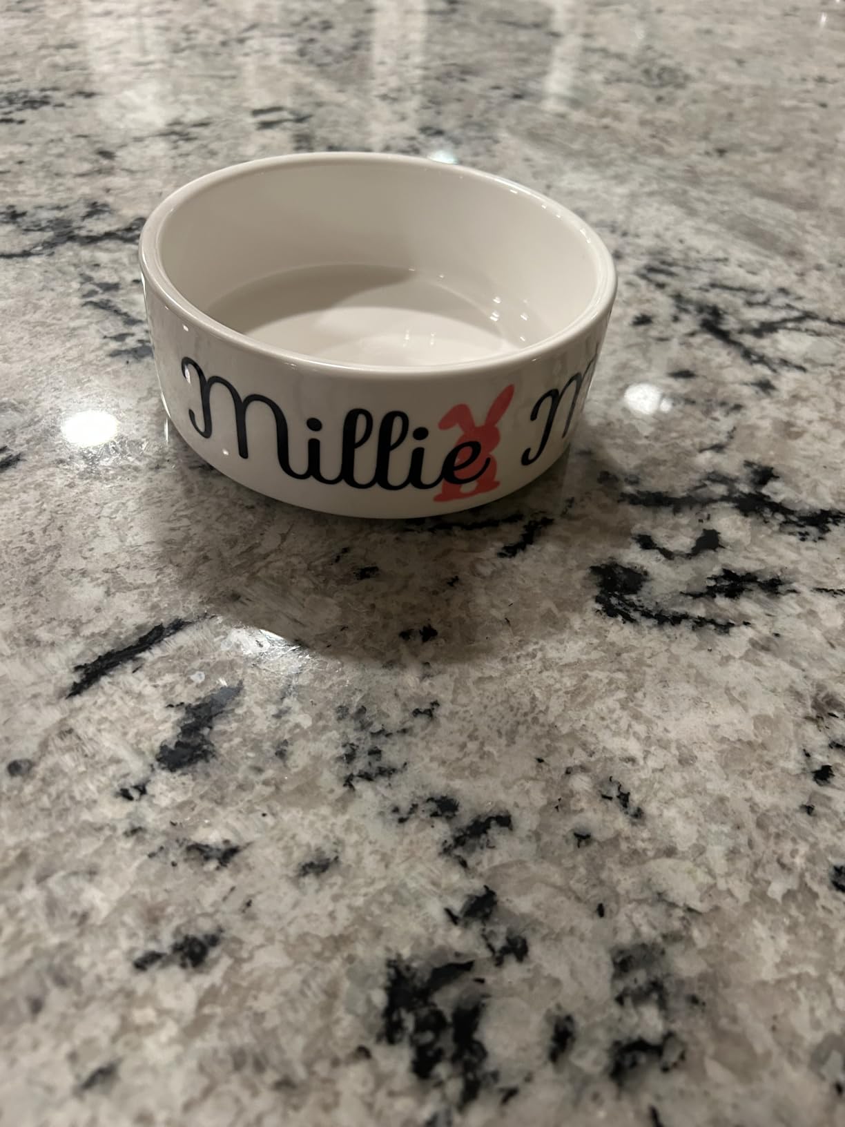 Custom Pet Bowl- Cat & Dog photo review