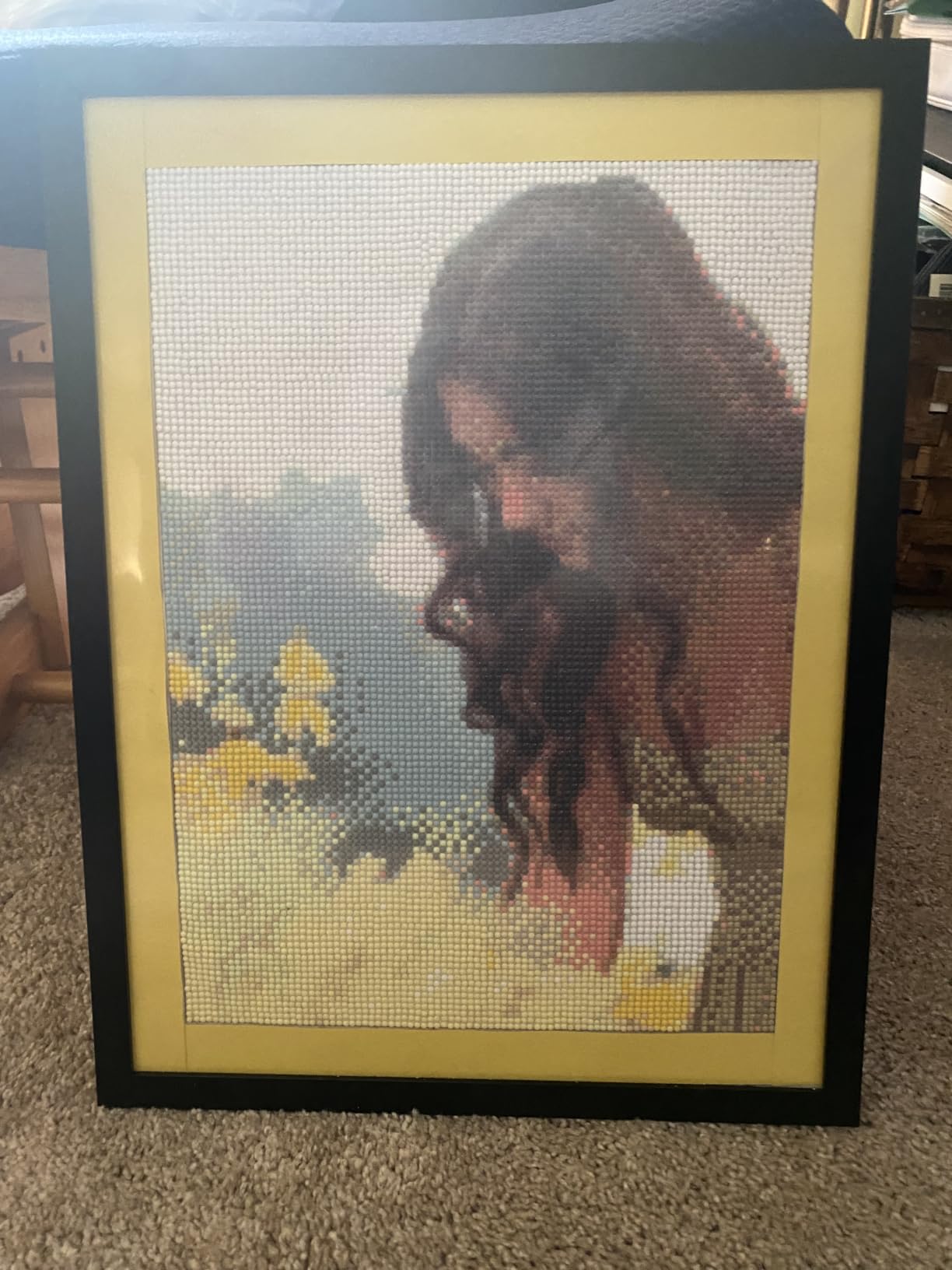 Custom 5D DIY Diamond Art Painting photo review