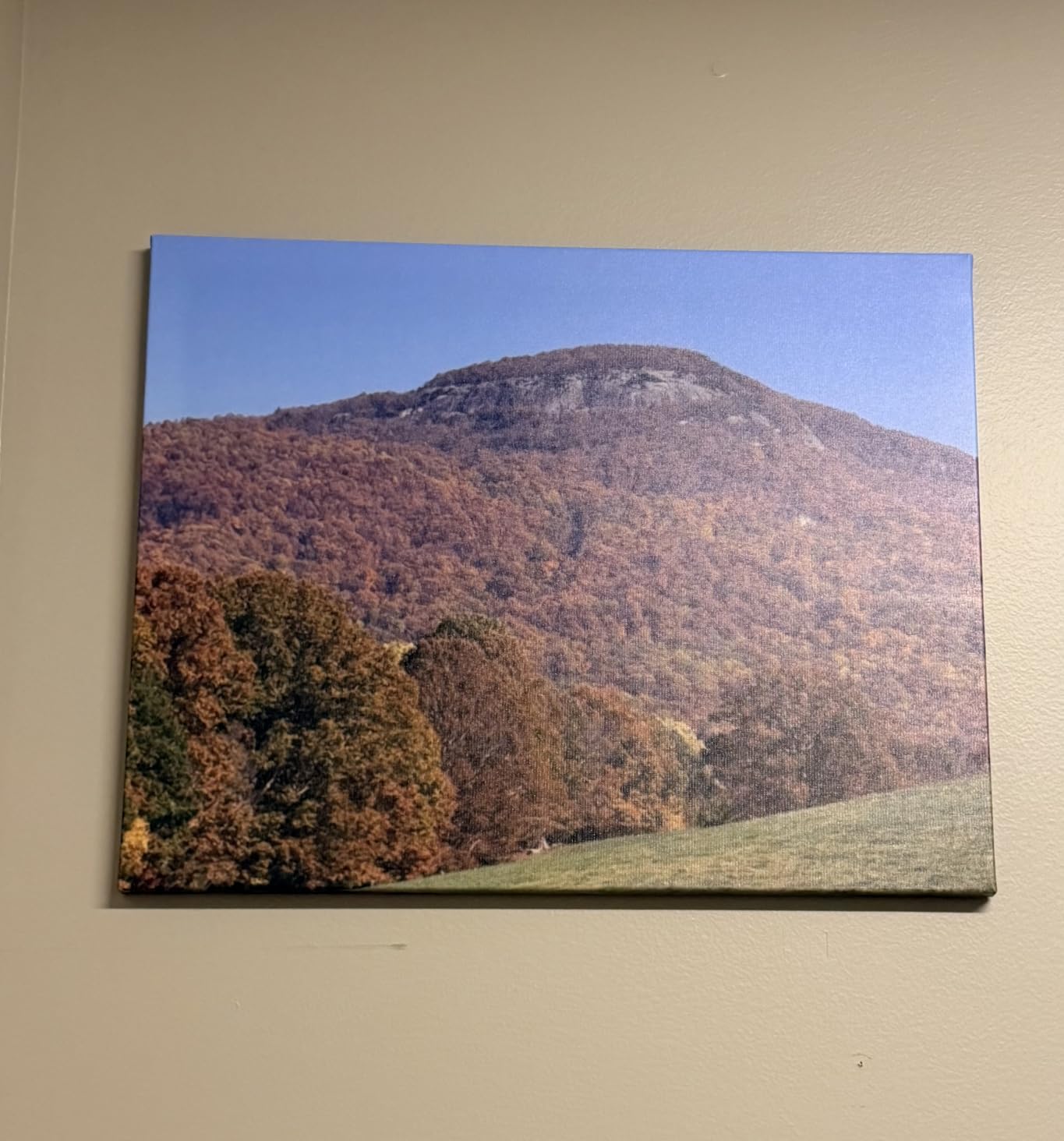 Custom Canvas Prints with Your Photos photo review