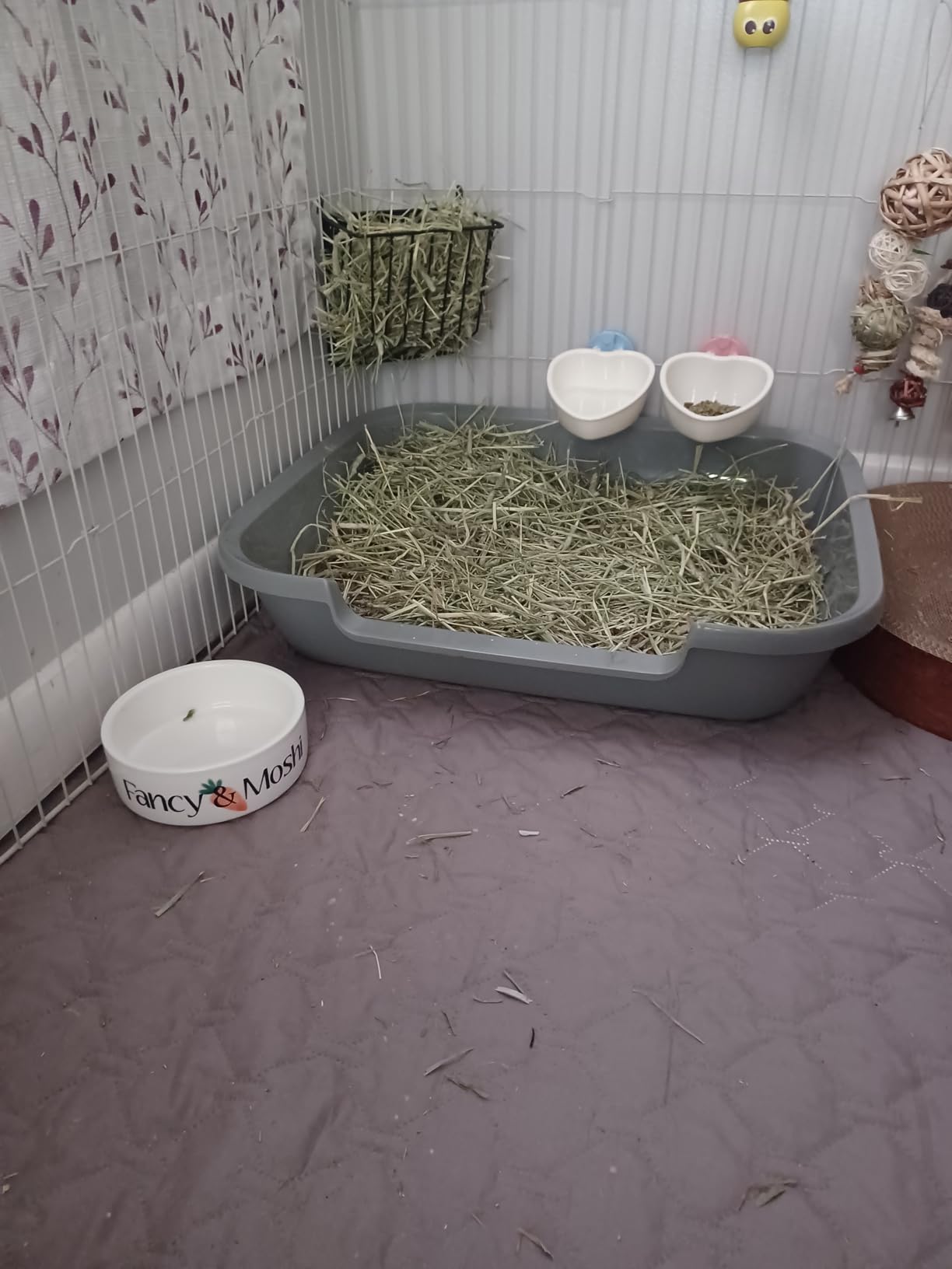 Custom Pet Bowl- Cat & Dog photo review