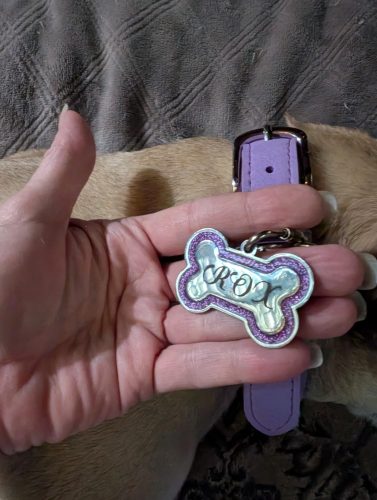 Personalized Dog Tags and Cat Tags photo review