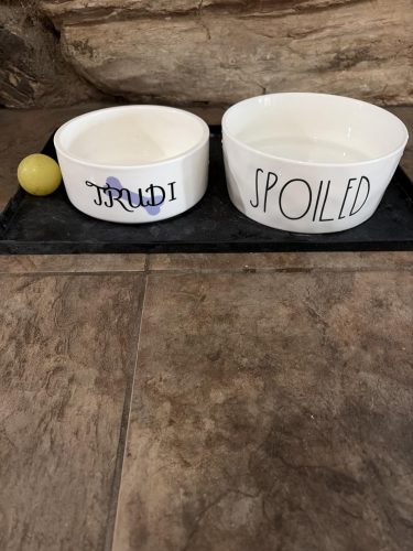 Custom Pet Bowl- Cat & Dog photo review