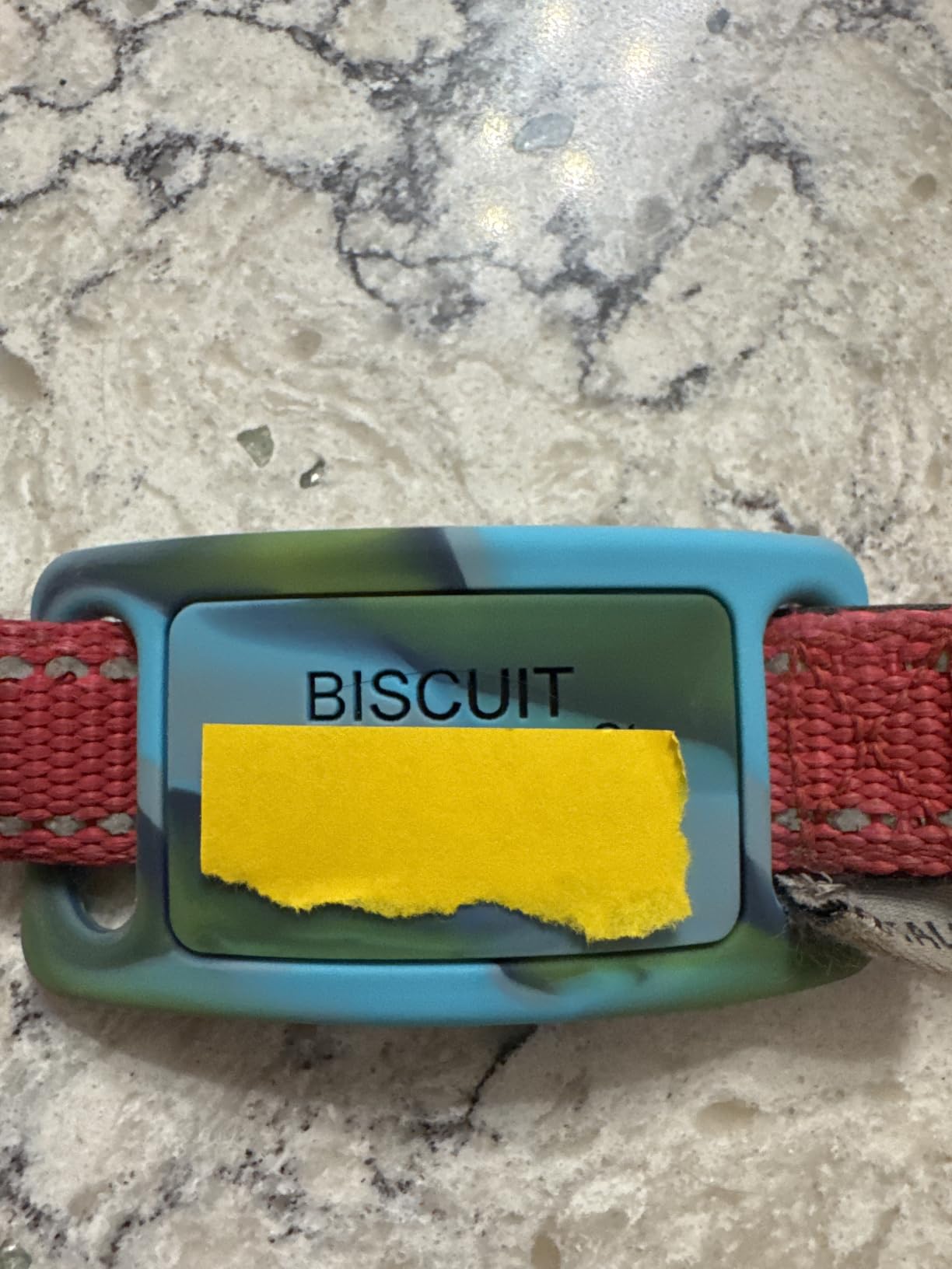 Personalized Engraved Silicone and Cat Name Pet ID Tags photo review