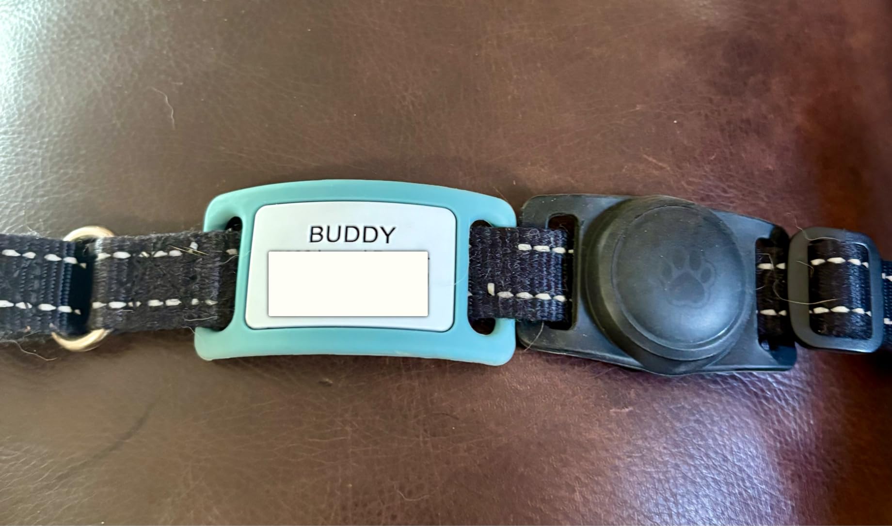 Personalized Engraved Silicone and Cat Name Pet ID Tags photo review