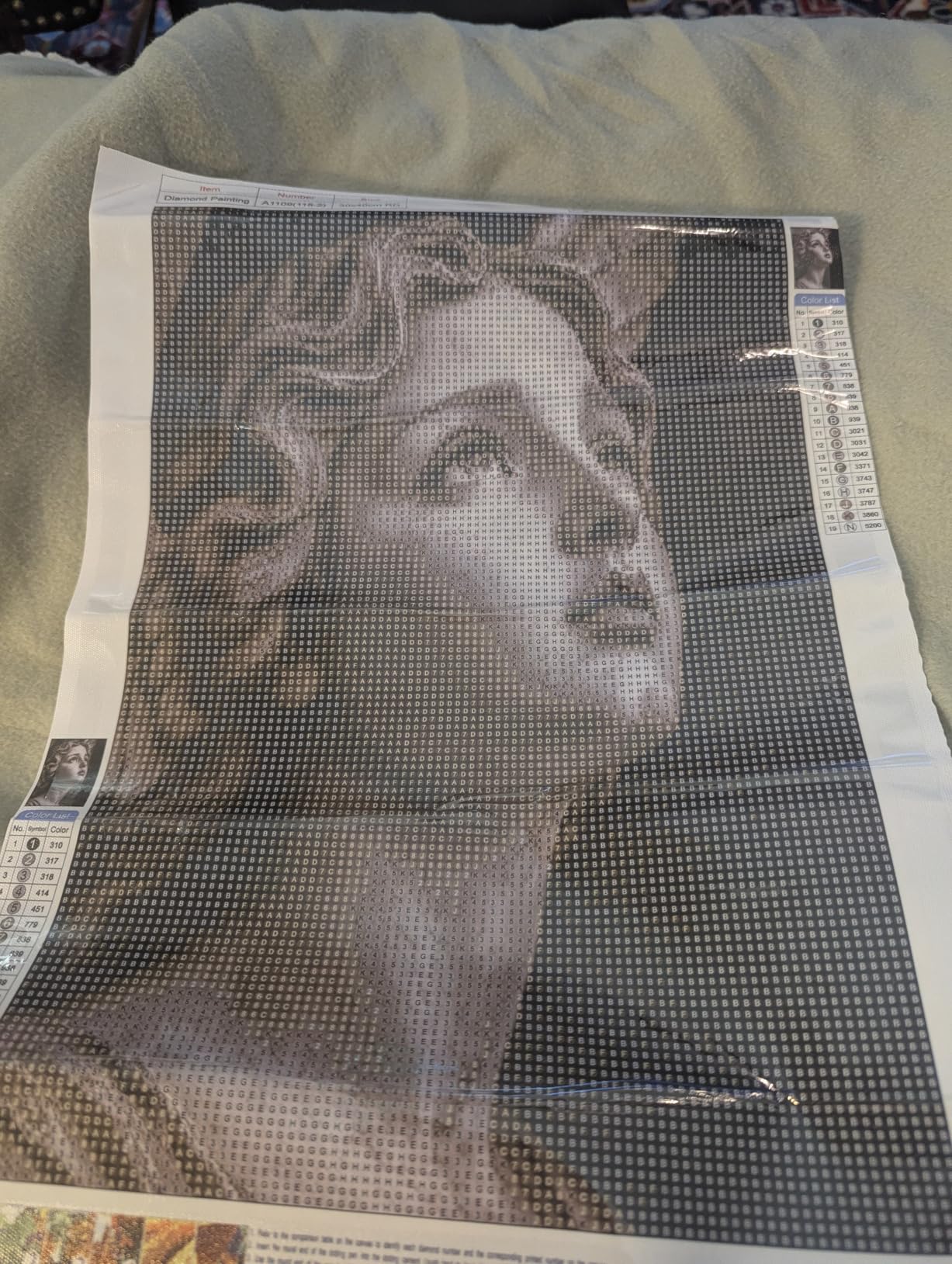 Custom 5D DIY Diamond Art Painting photo review