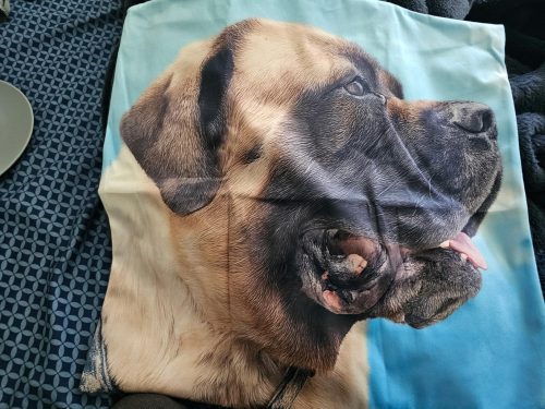 Custom Throw Pillow Cover photo review