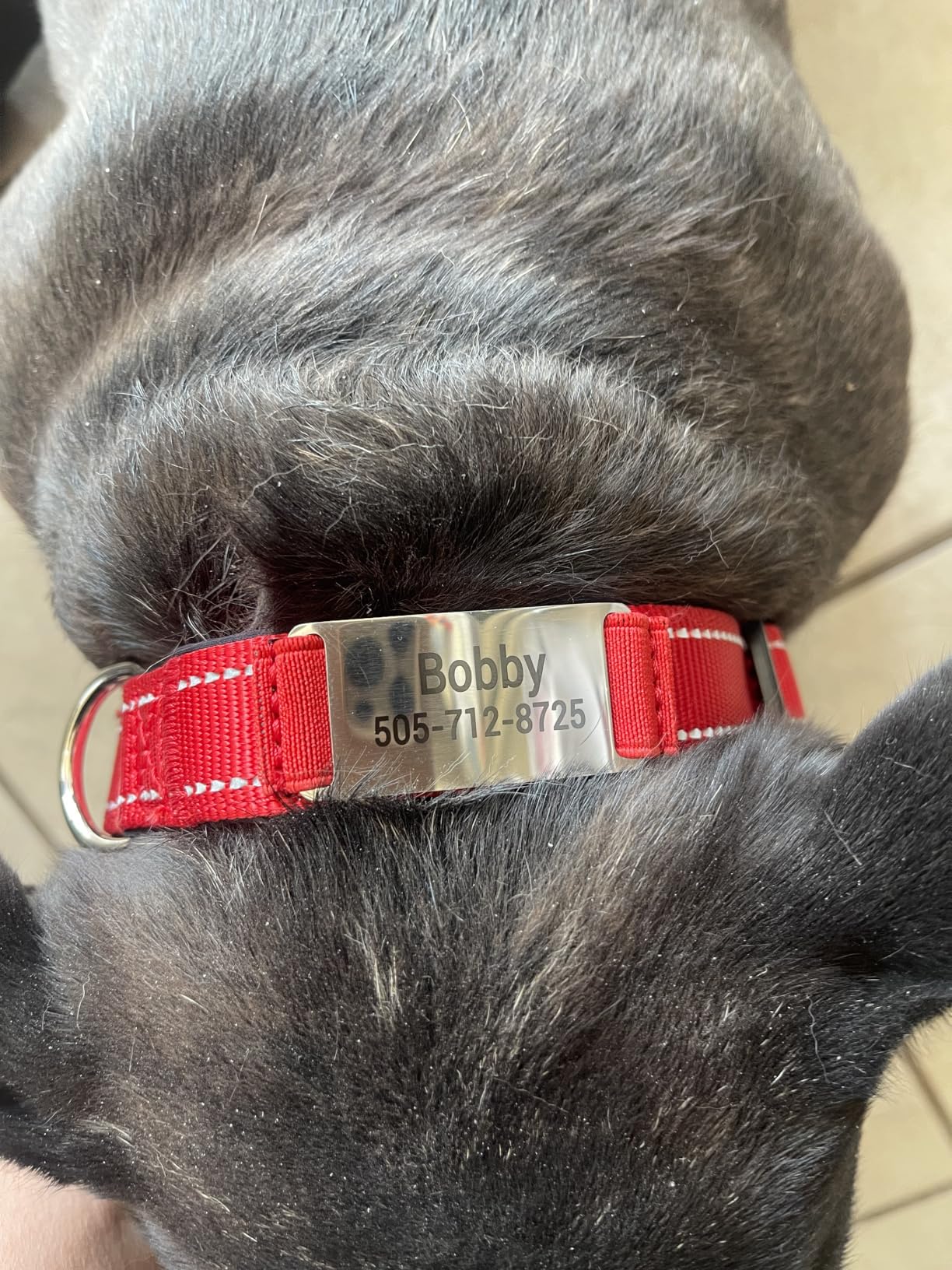 Custom Reflective stitching nylon dog collar photo review