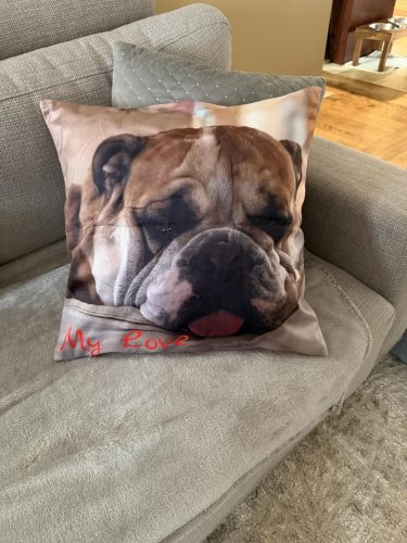 Custom Throw Pillow Cover photo review