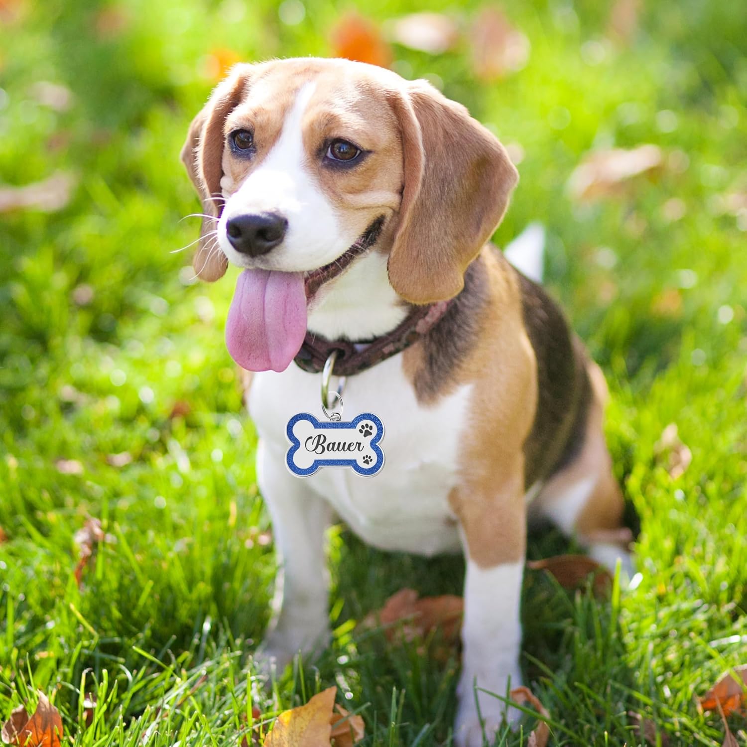 Personalized Dog Tags and Cat Tags - Image 2