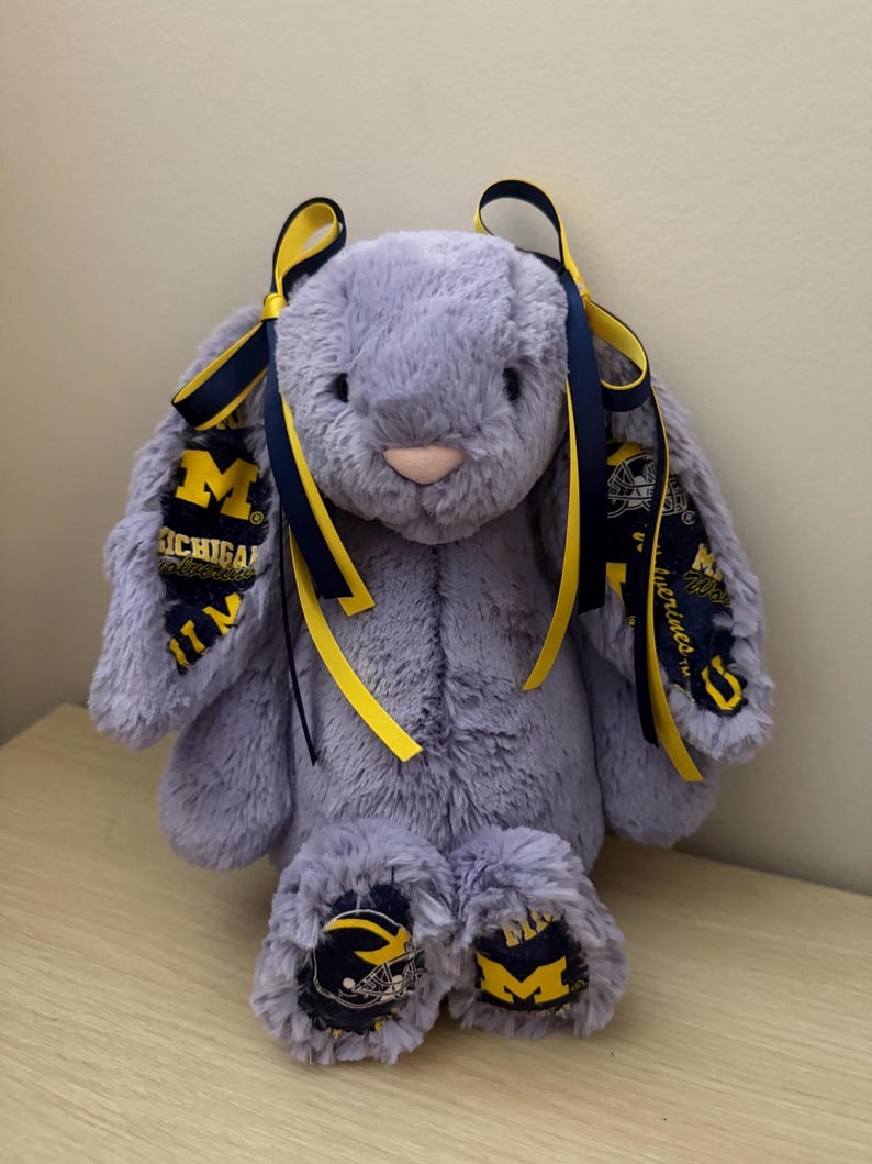 ANY College Jellycat Bunny - Image 3