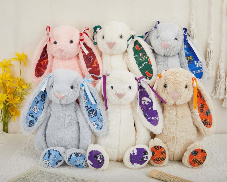 Personalized College Graduation Bunny Class of 2026, Custom Embroidered Grad Bunny with Name,College Graduation Gift