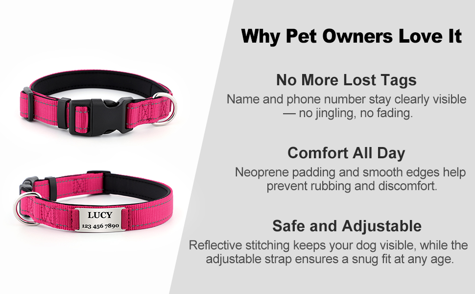 dog collar