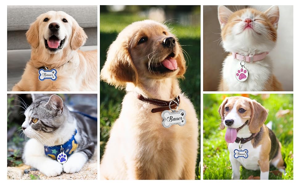 custom stainless steel pet identity tag for dog cat pet puppy furry friend