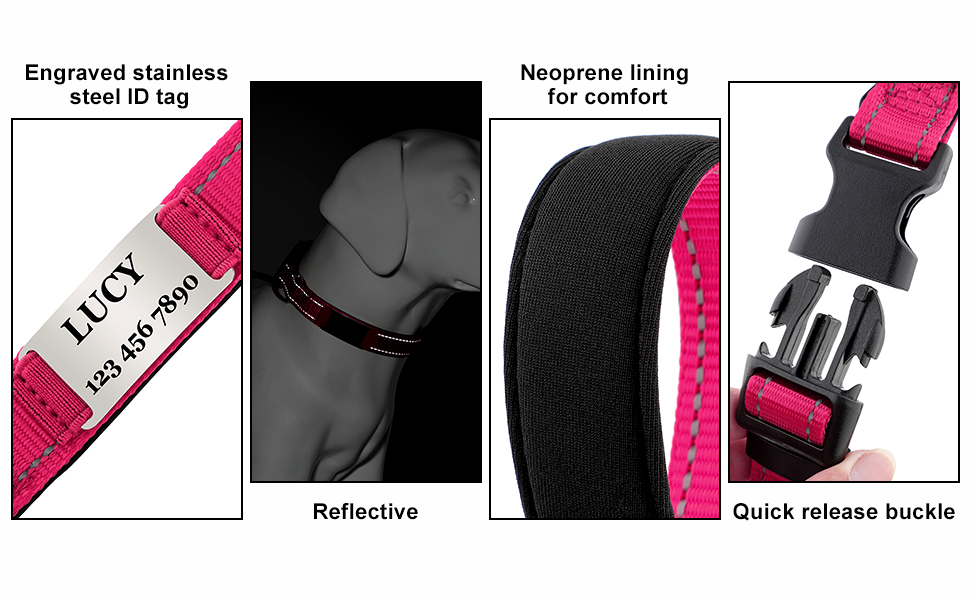 dog collar cute