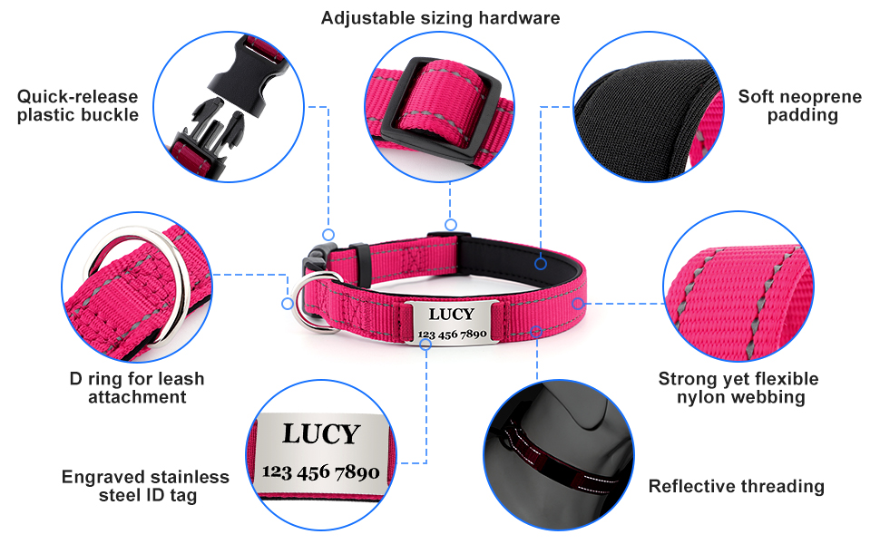dog collar for girl